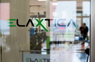 Palestra Elaxtica