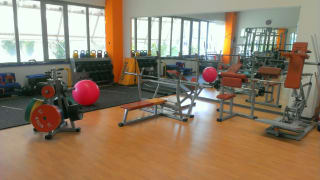 King Rock Gym