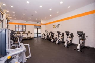 Xfit Palestre