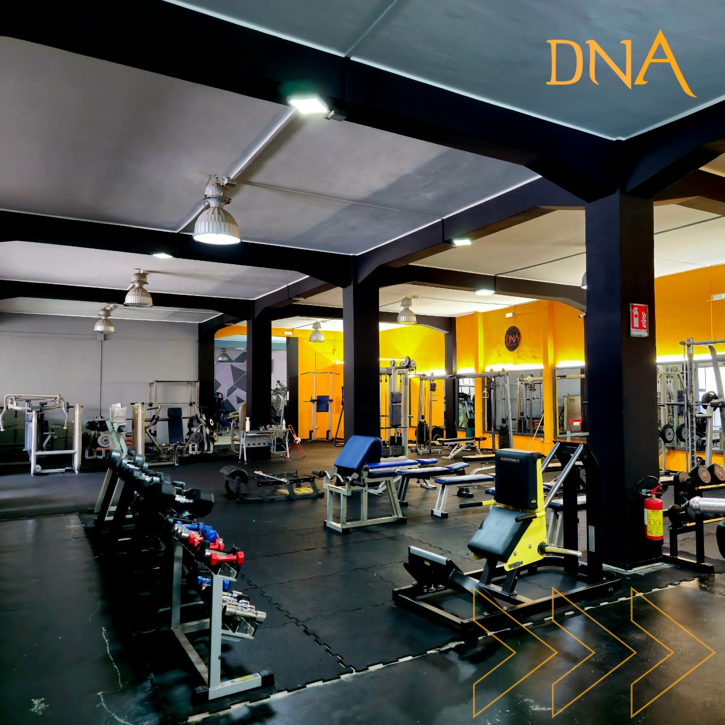 Dna Fit Wellness