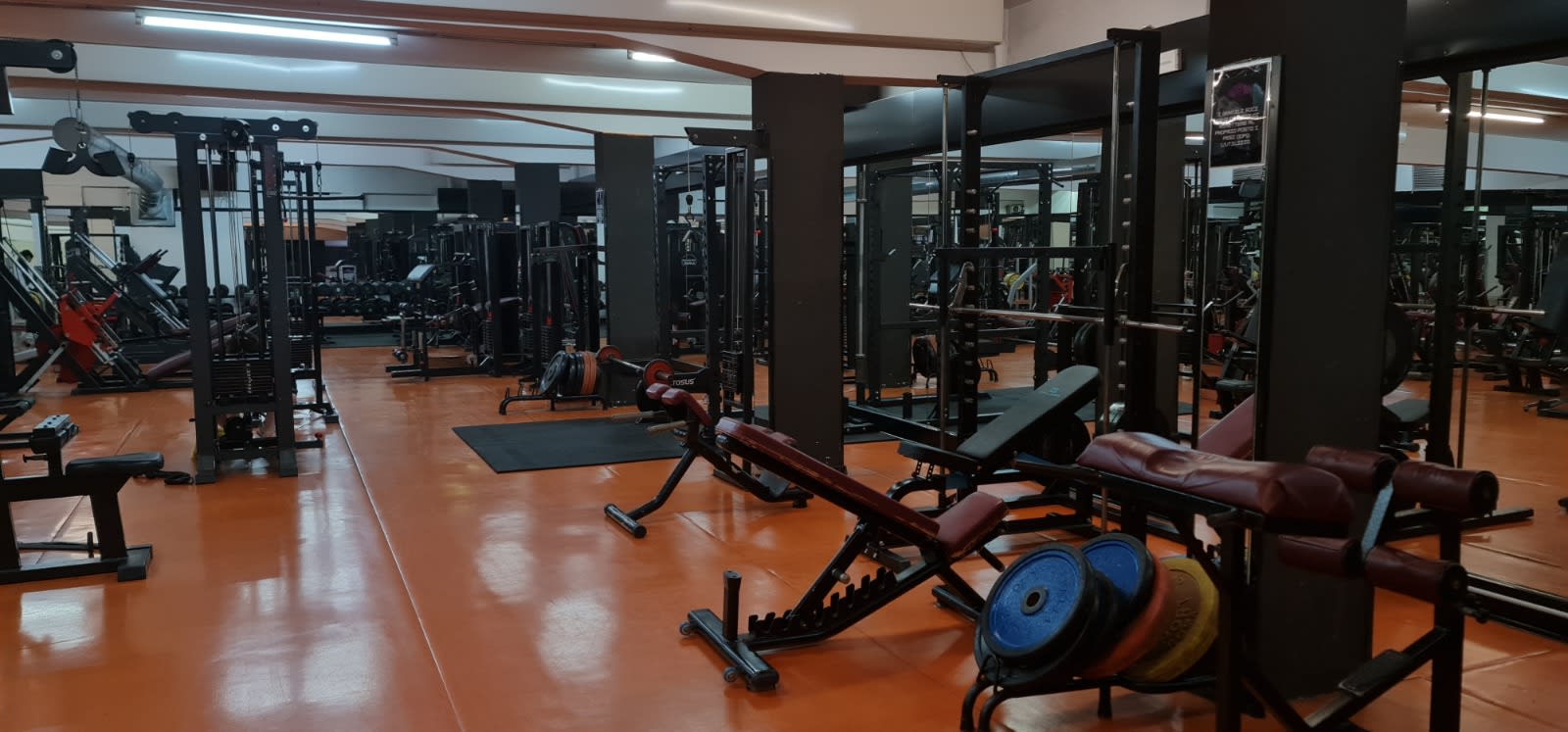 Fitness Lab Gym Pomezia