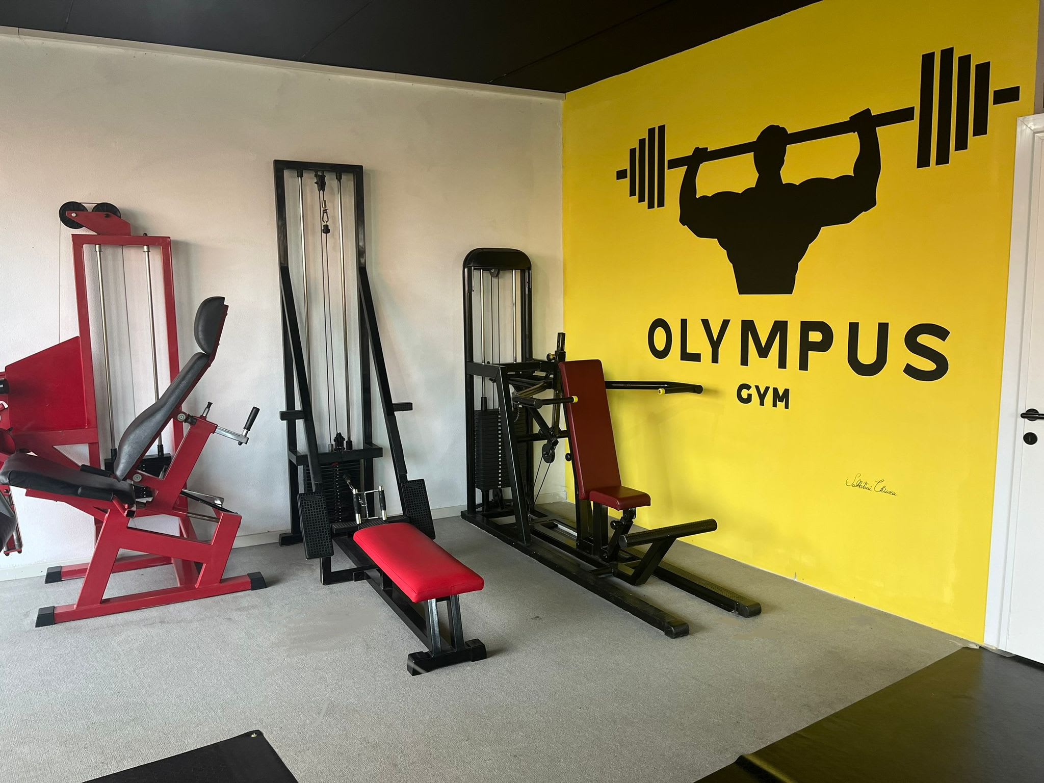 Olympus Gym