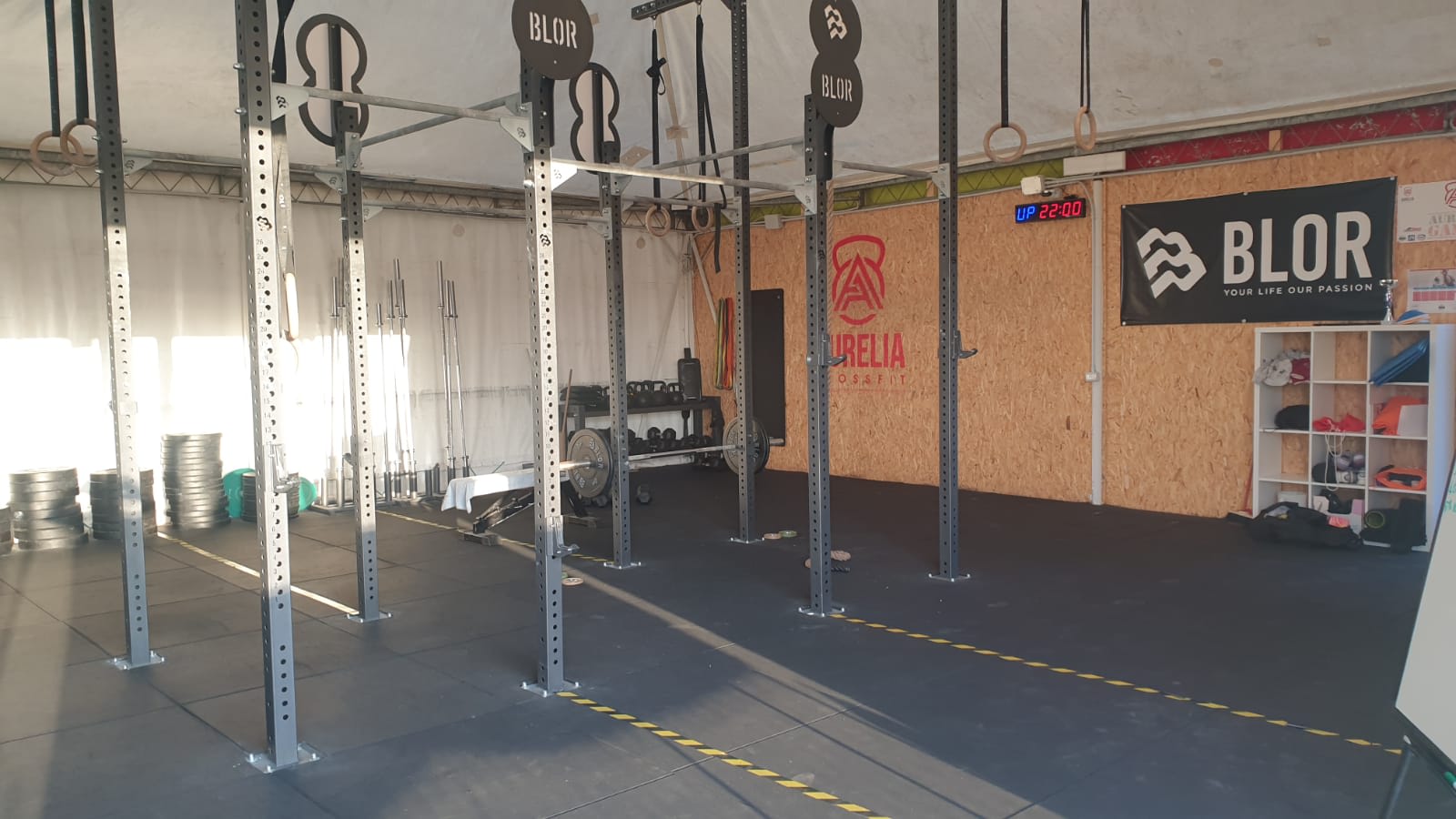 Aurelia Crossfit