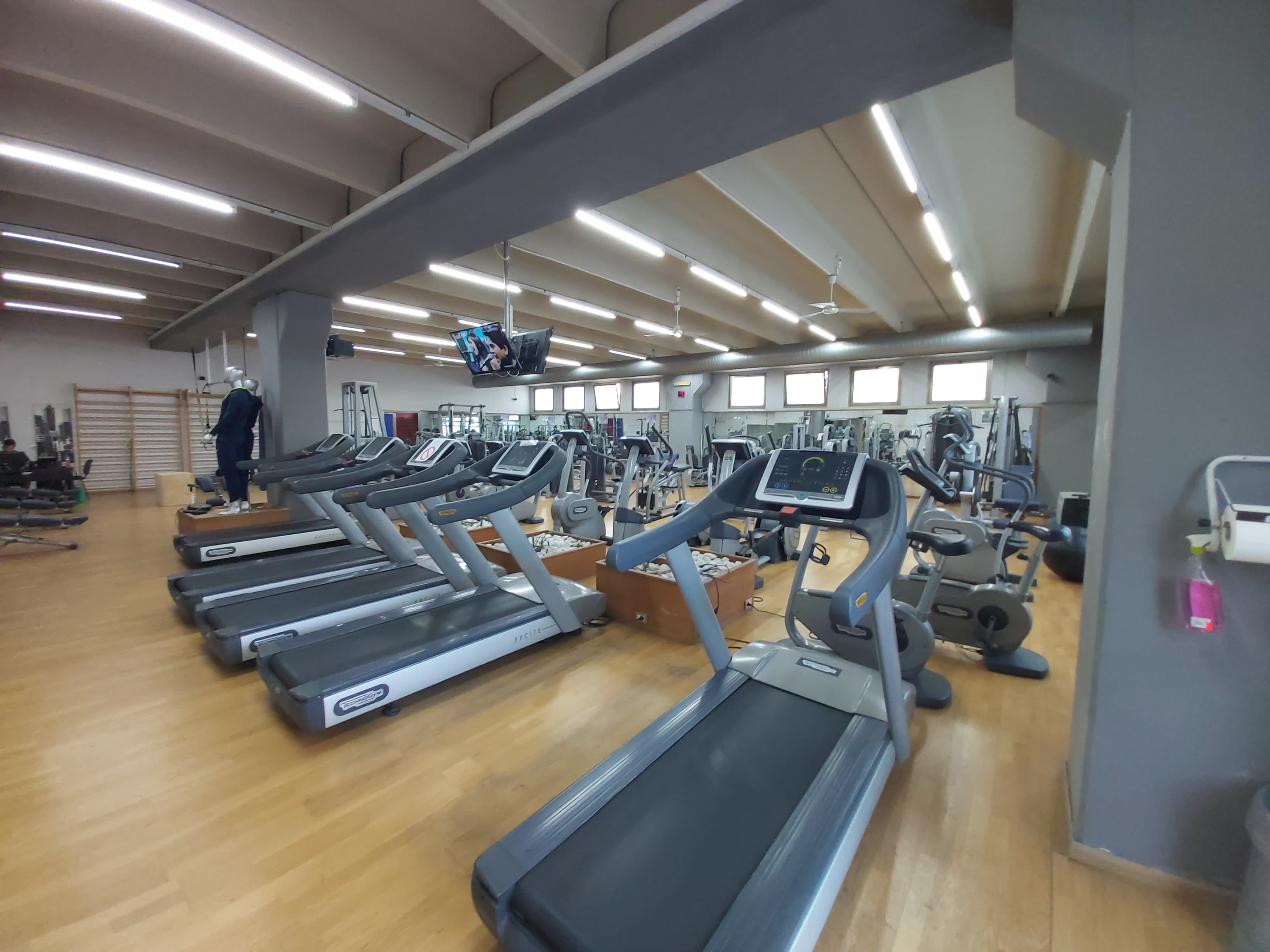 Gymnasium Scafati