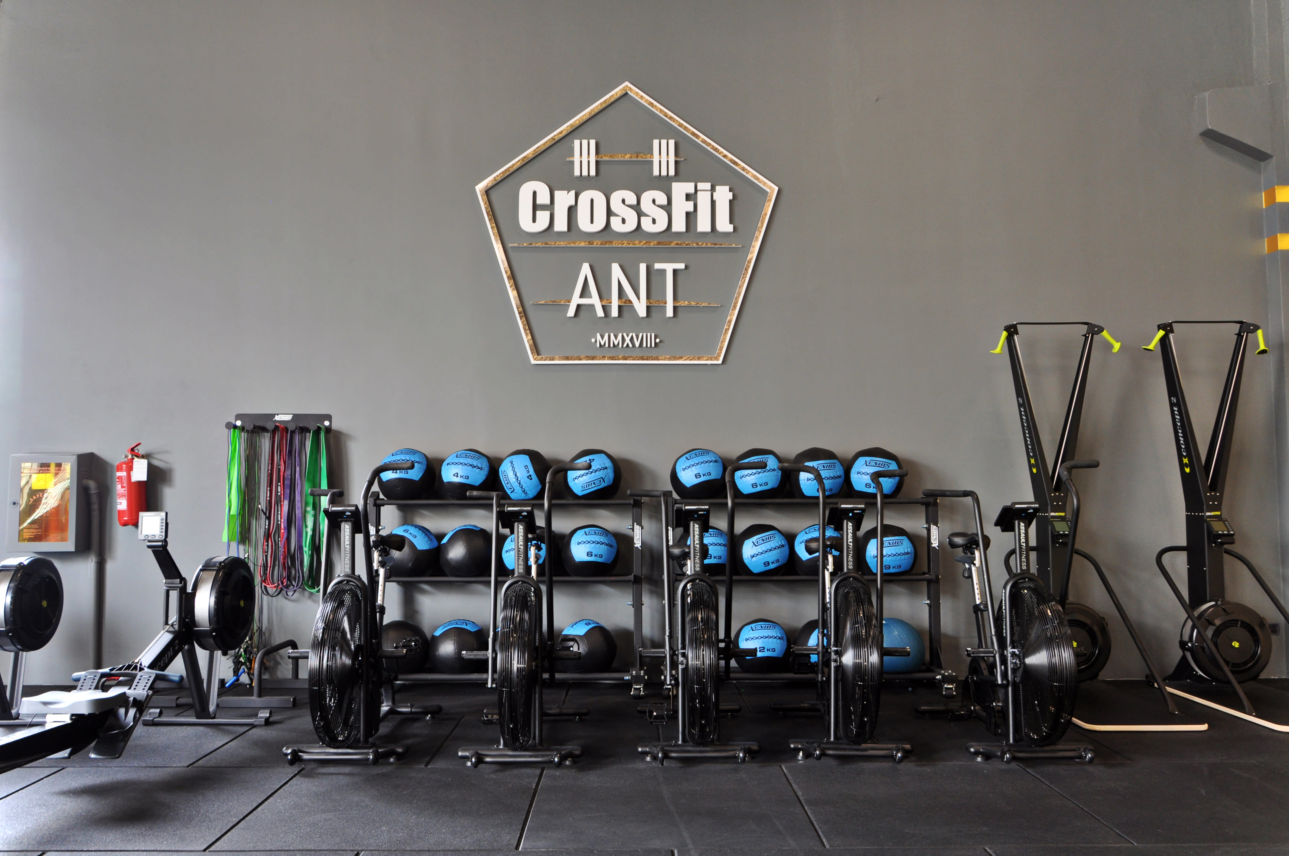 CrossFit Ant