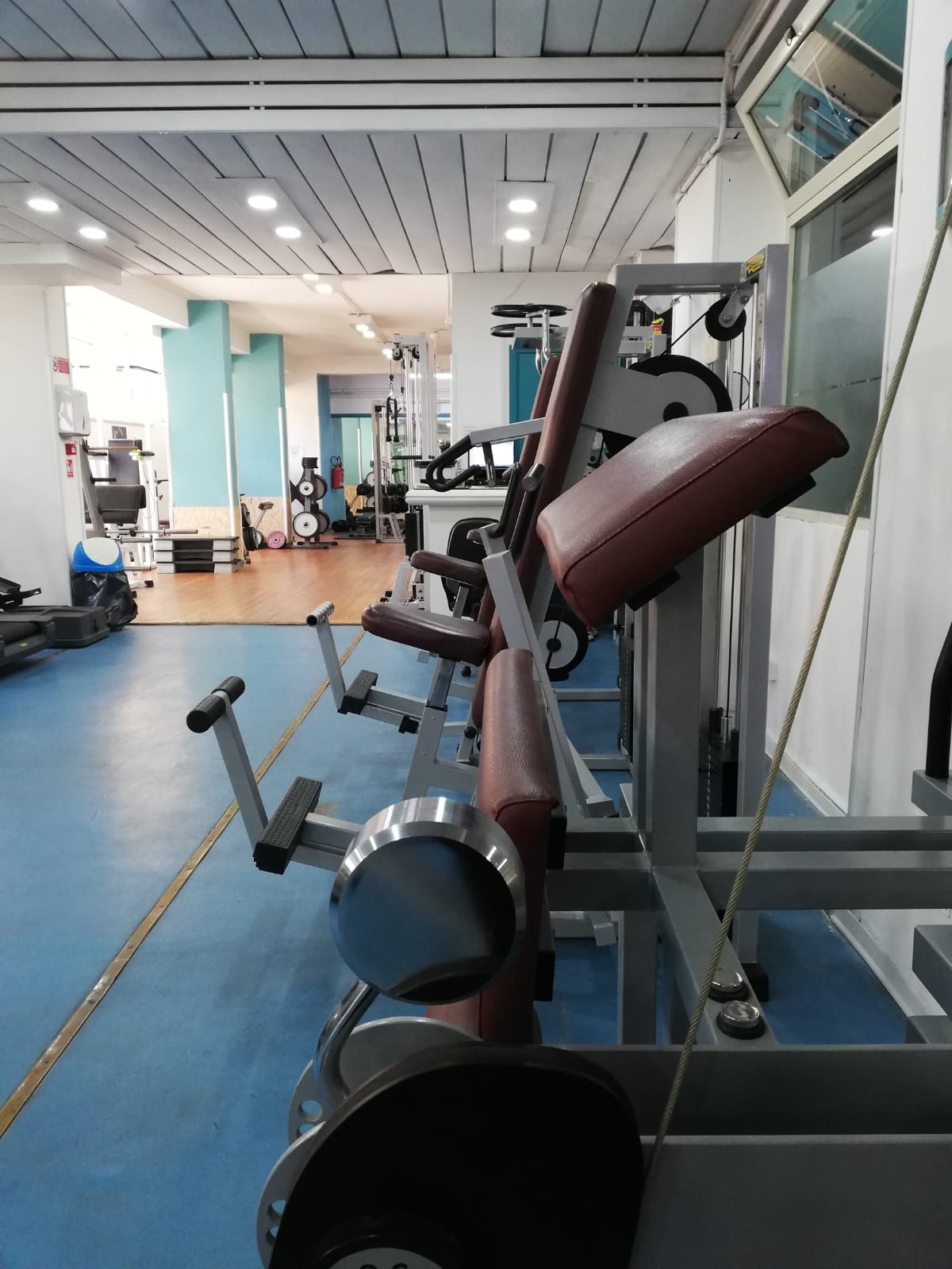 Blugym