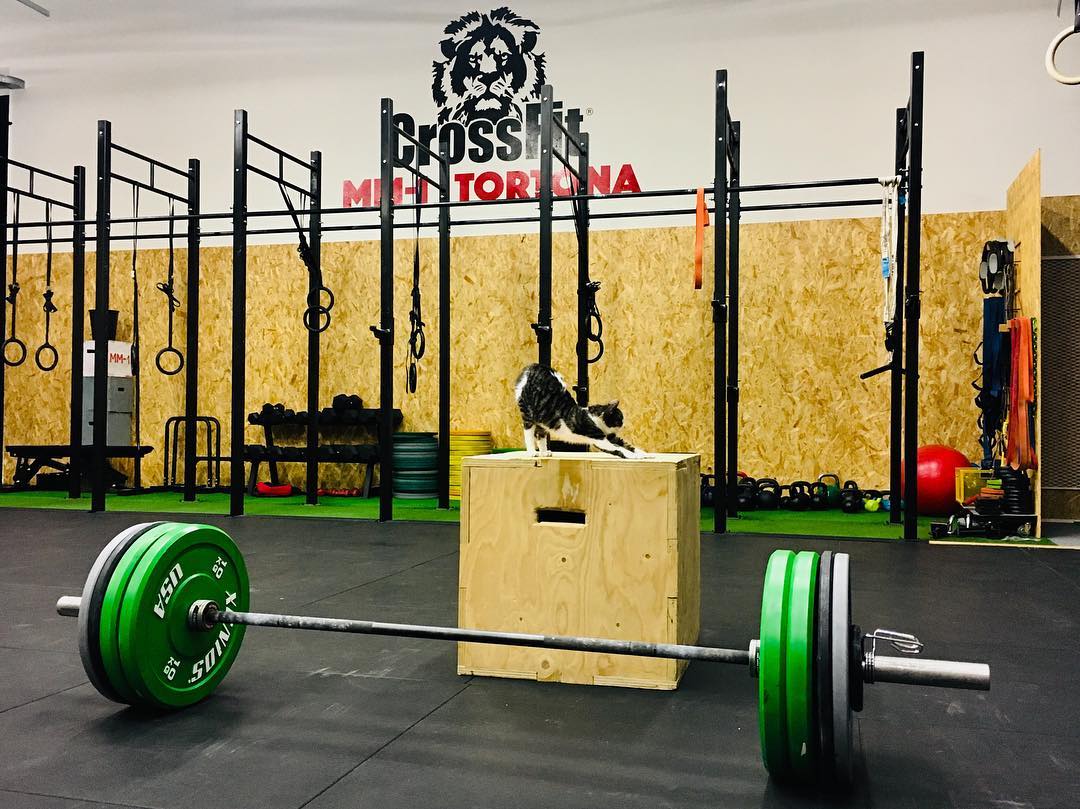 CrossFit MM-1 Tortona