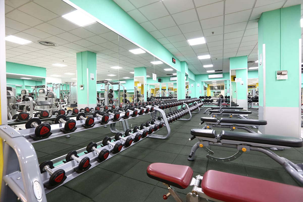 Viktory Gym