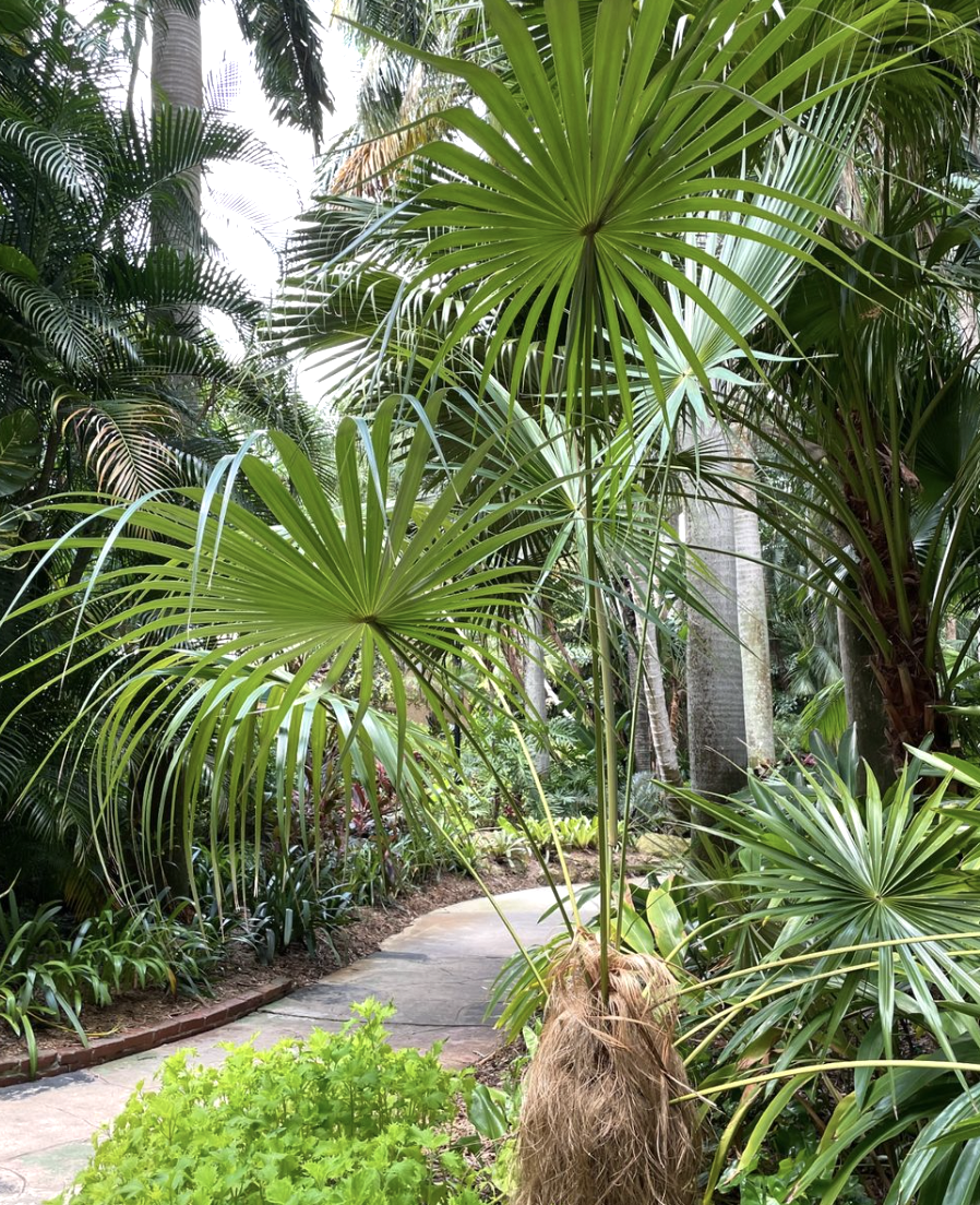 Sunken Gardens