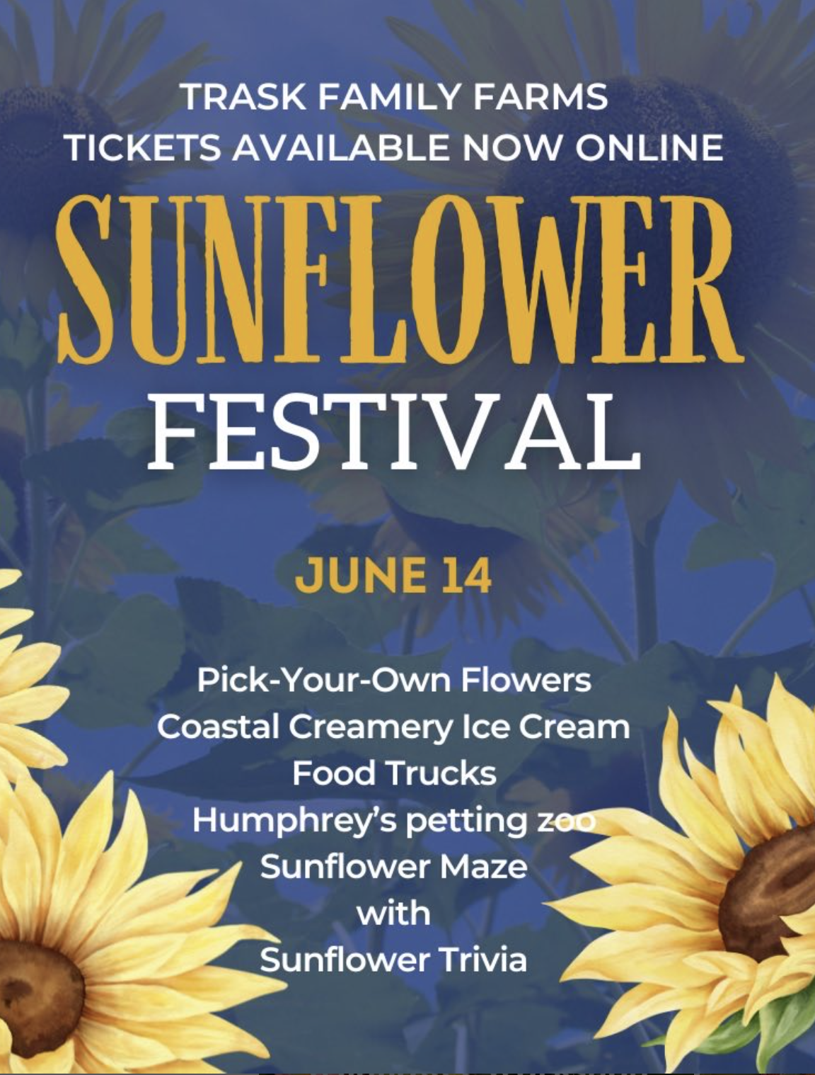 Sunflower Festival - NC's Largest Sunflower Maze