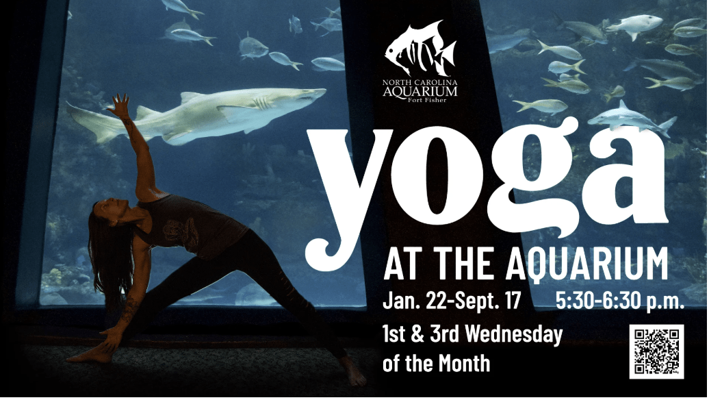 Yoga at the Aquarium
