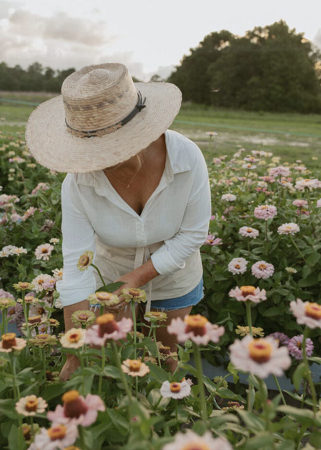 U-Pick Flowers and Sunflower Maze