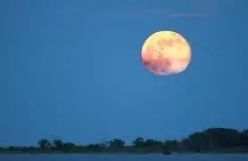 Full Moon River Cruise with Live Music Aboard Wilmington Water Tours