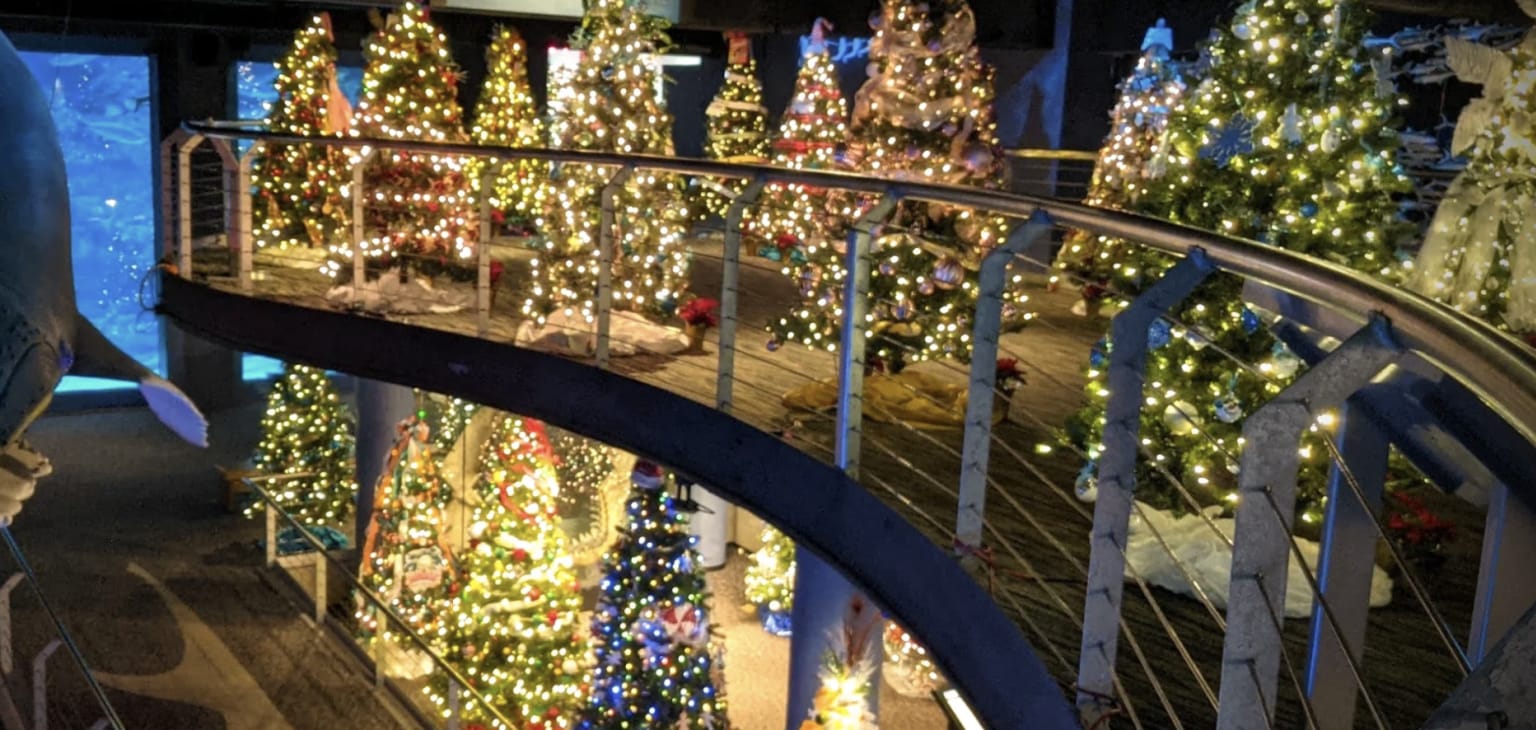 Cape Fear Festival of the Trees – photo 1