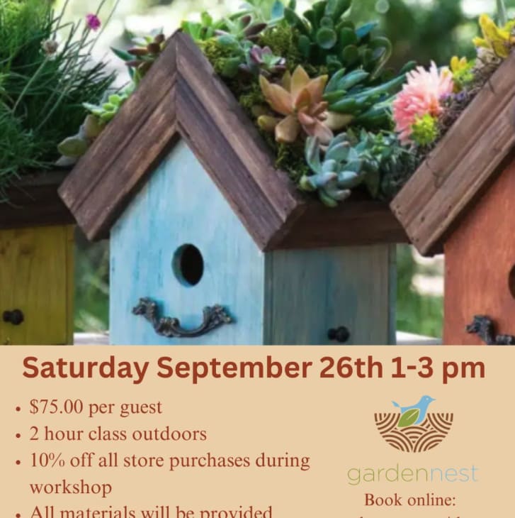 Succulent Bird House Workshop – photo 1