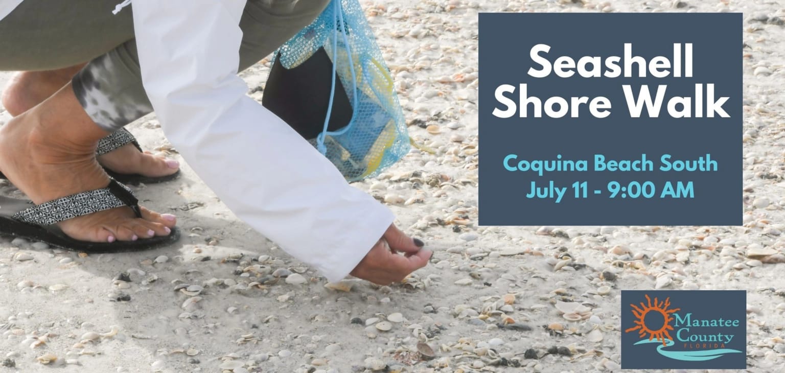 Seashell Shore Walk - July 2024 – photo 1