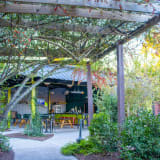 Lush Garden Bar