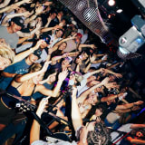 Bluebird Social