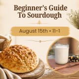 Beginners Guide to Sourdough