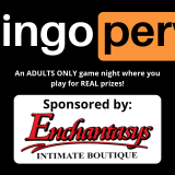 BingoPerv! Adults ONLY Game Night