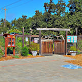 Lafayette Community Garden and Outdoor Learning Center