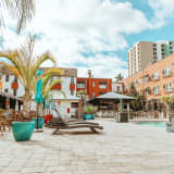 Hollander Hotel St. Petersburg / Downtown