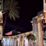 Museum of Fine Arts