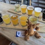Mike Hess Brewing Walnut Creek