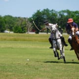 Friday Night Polo
