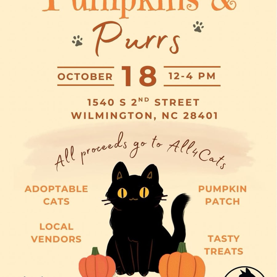 Pumpkins & Purrs – photo 1