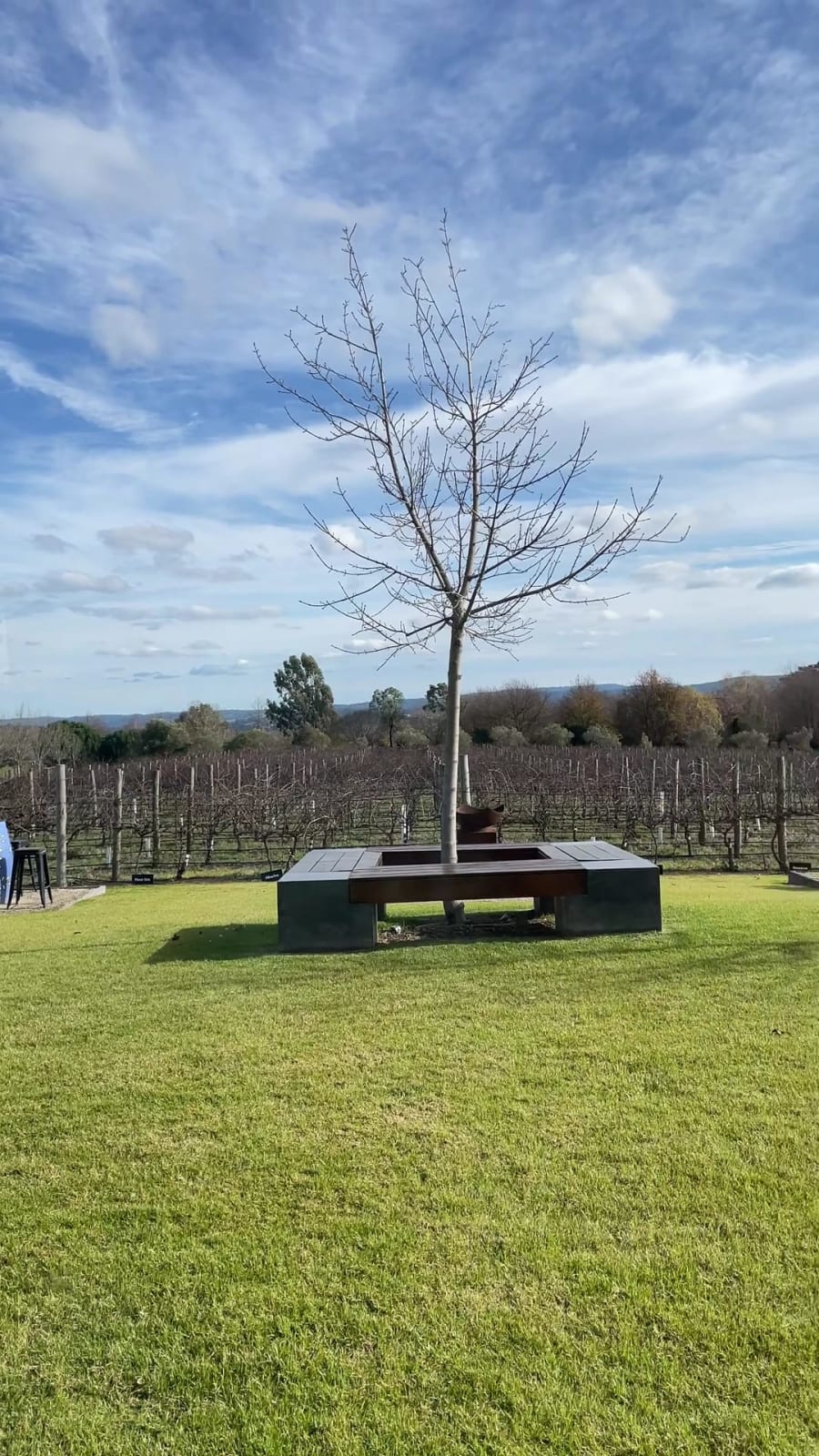 ArtWine – photo 2