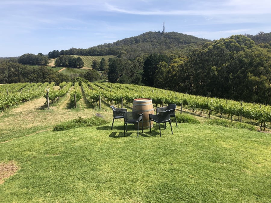 Greenhill Wines Cellar Door – photo 3