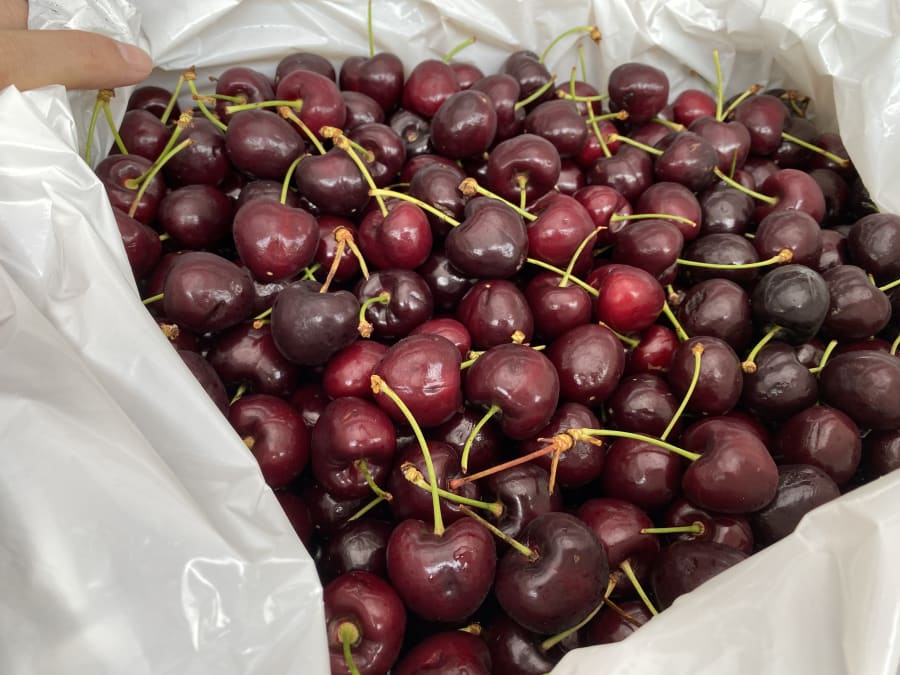 Lennane Orchards – photo 5