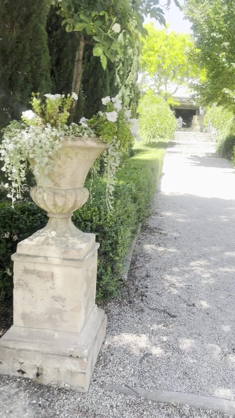 Howard Vineyard – photo 2
