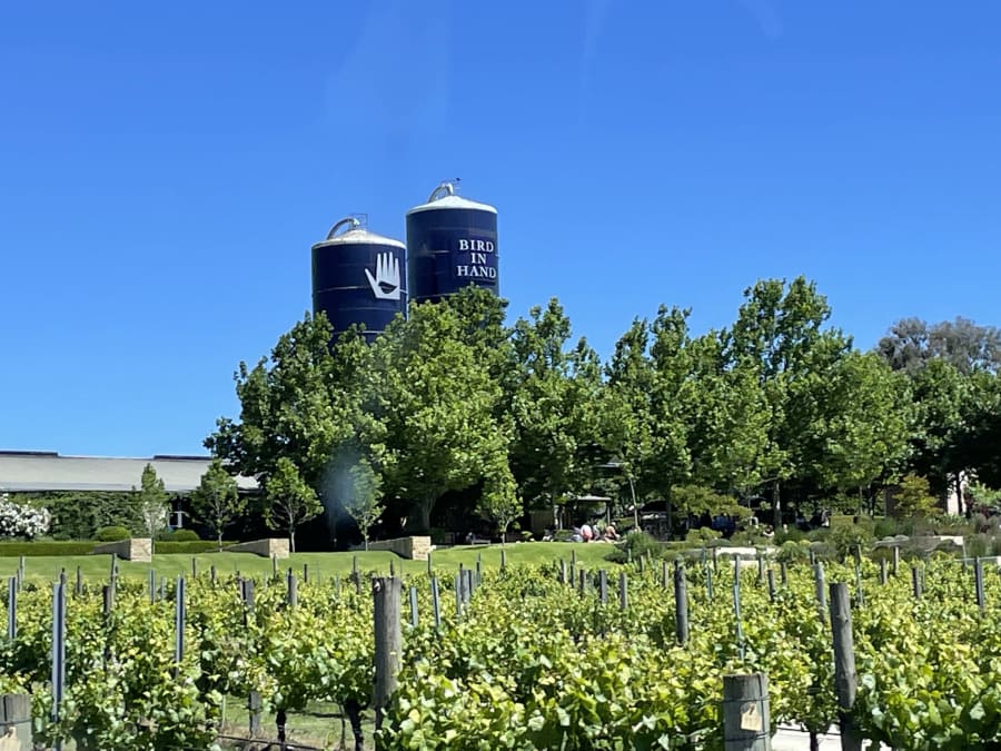 Bird in Hand Winery – photo 3
