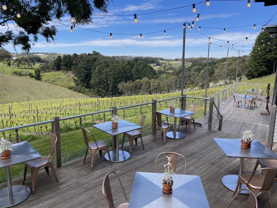Mt Lofty Ranges Vineyard – photo 5