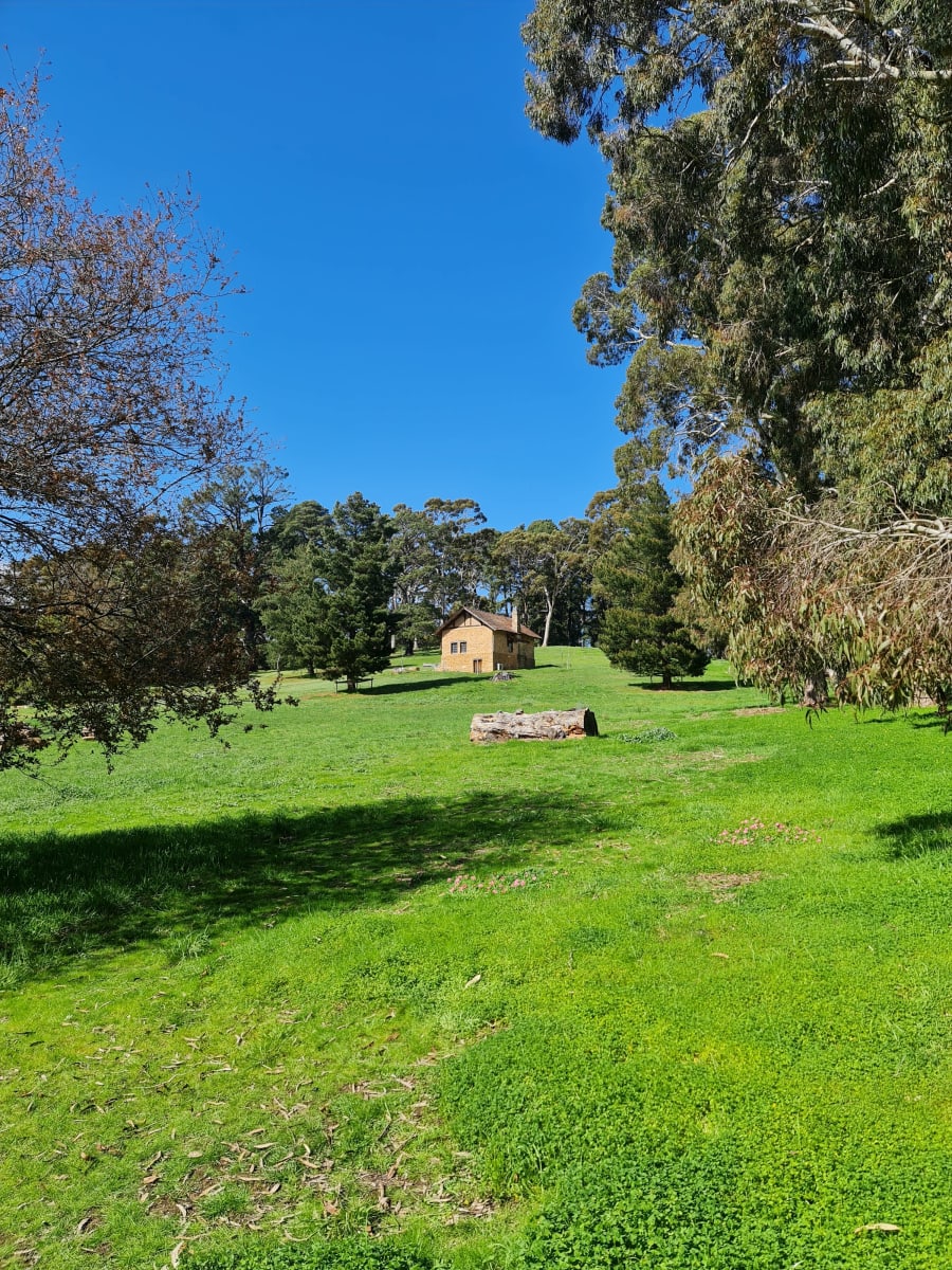 Hans Heysen - The Cedars – photo 5