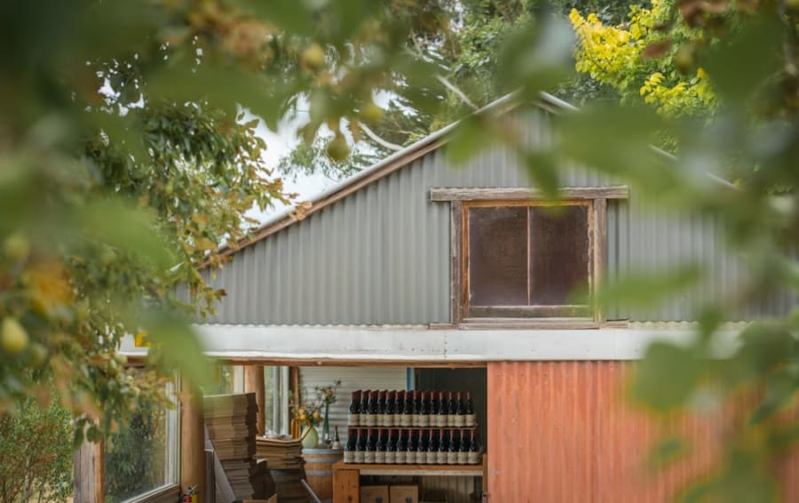 Ashton Hills Vineyard – photo 5