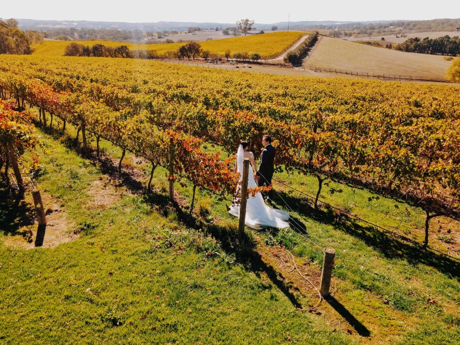 The Lane Vineyard – photo 4