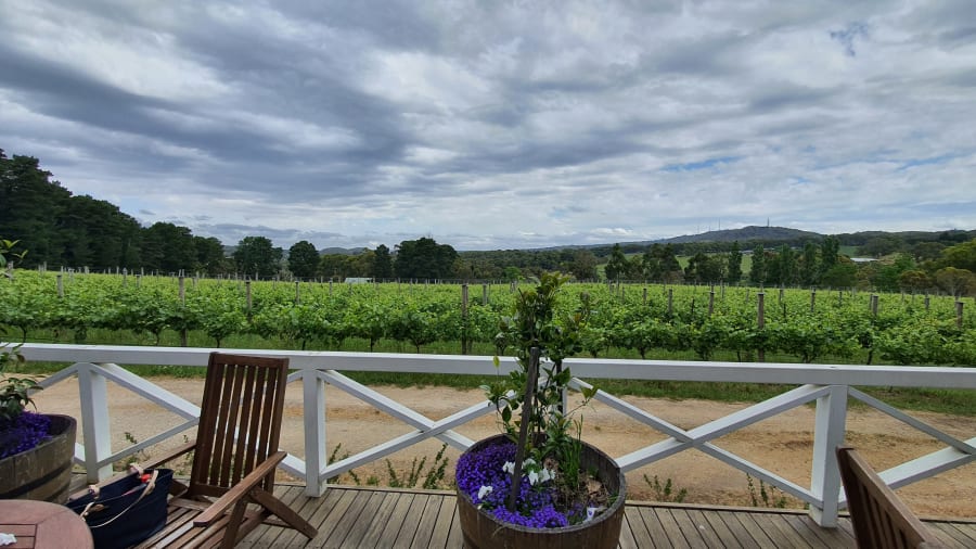 Ashton Hills Vineyard – photo 4