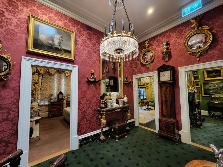 David Roche Gallery – photo 4