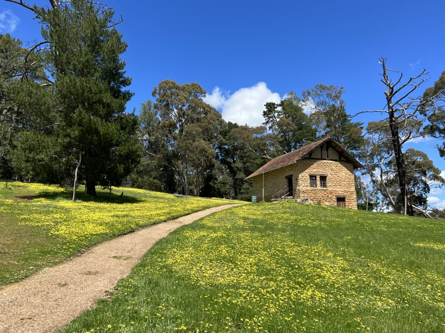 Hans Heysen - The Cedars – photo 3
