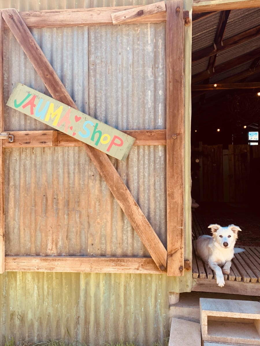 Jauma Farm – photo 4