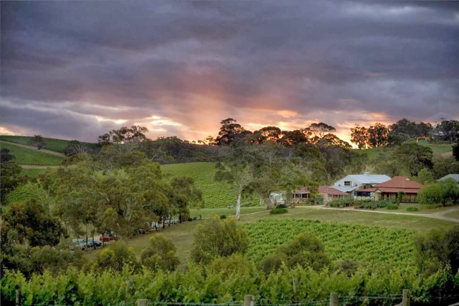 Longview Vineyard – photo 4
