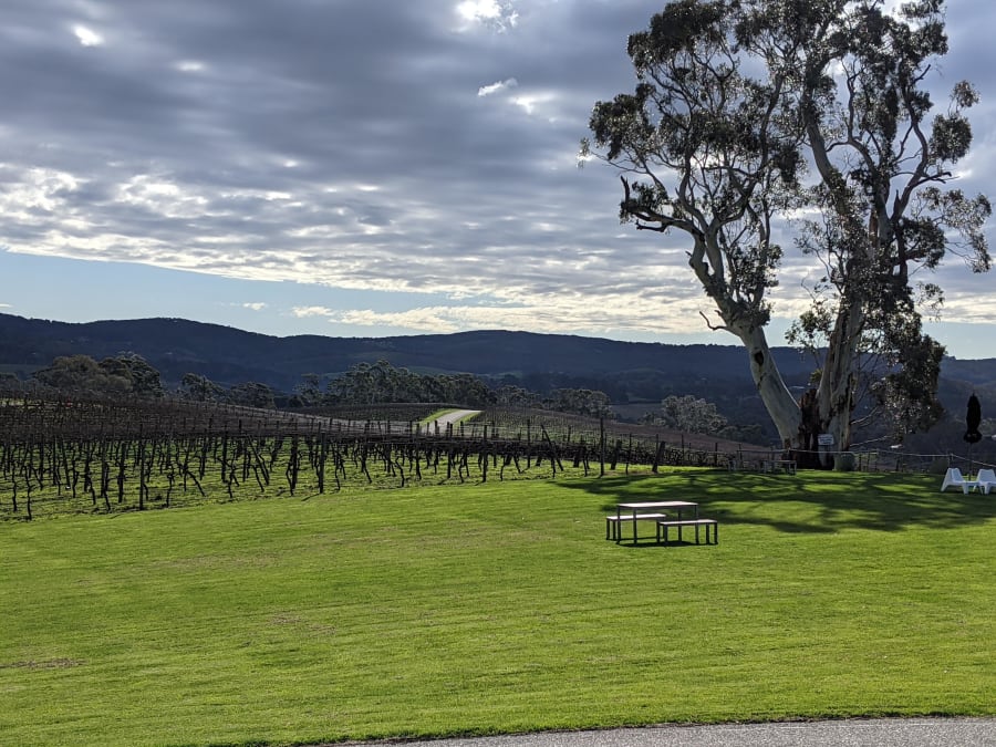 Nepenthe Cellar Door – photo 4