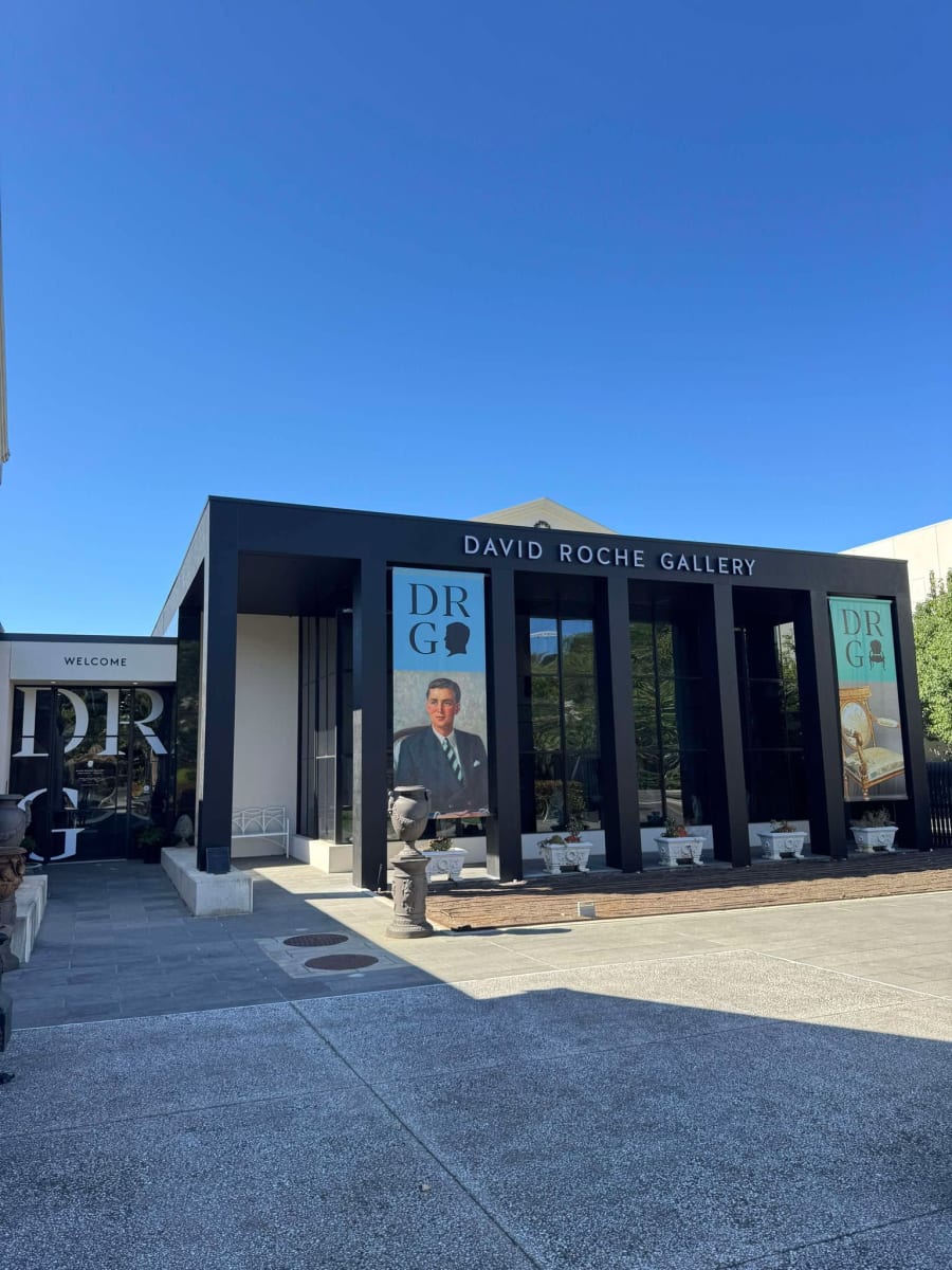 David Roche Gallery – photo 1