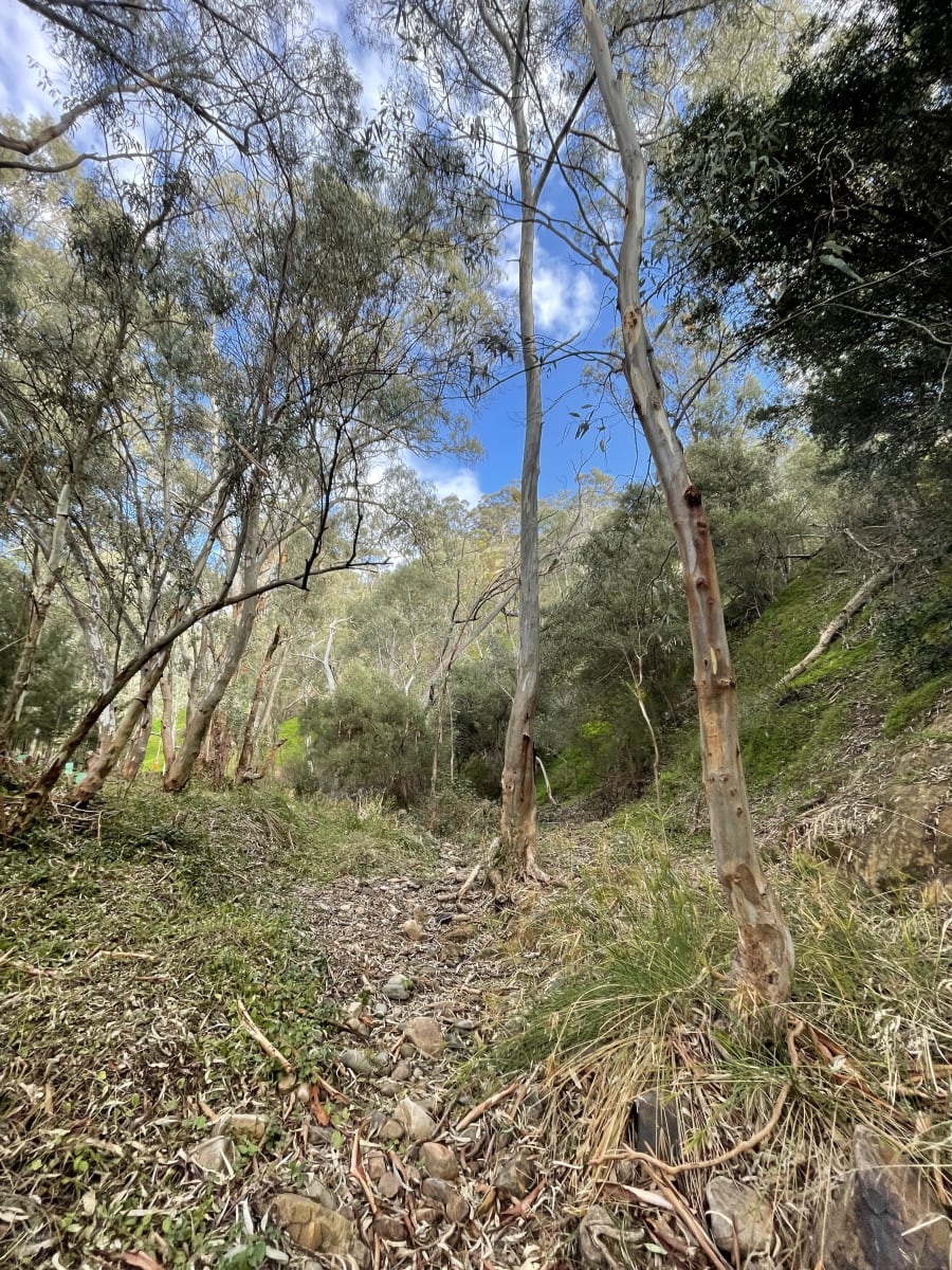 Ingleside Studios – photo 2