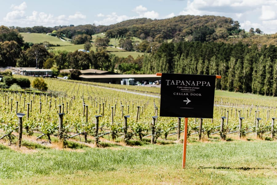 Tapanappa Wines – photo 3