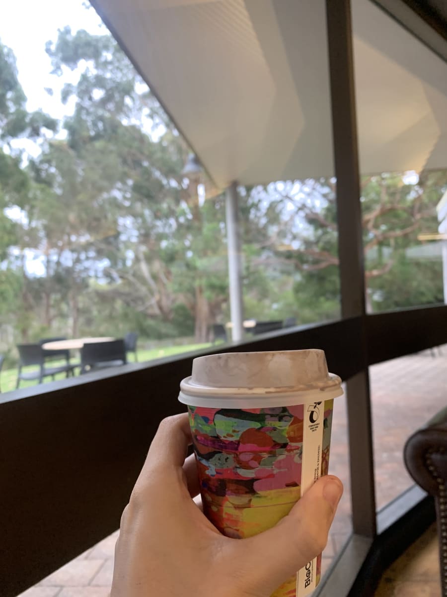 Barking Gecko Café (Cleland Wildlife Park) – photo 2