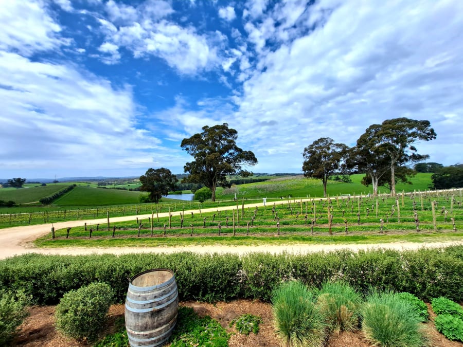 The Lane Vineyard – photo 3